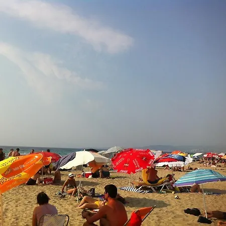 Doridas Kusadası