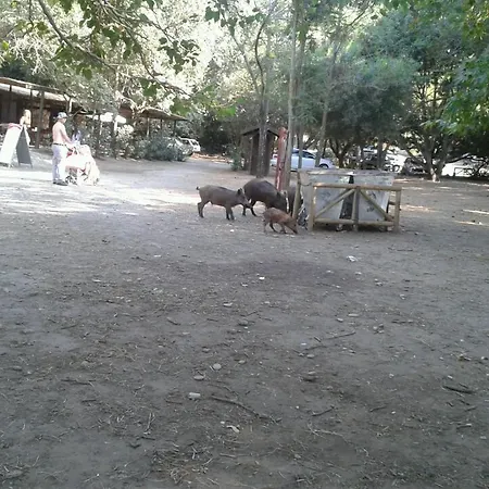 Ξενοδοχείο Doridas 3*