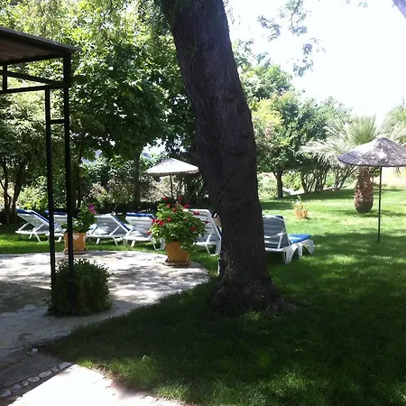 Doridas 3* Кушадасы