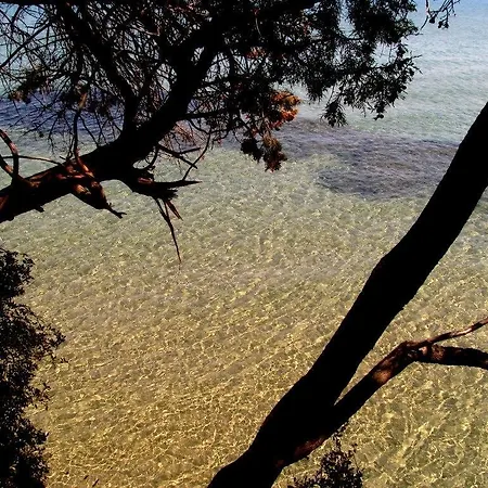 Doridas 3* Κουσάντασι